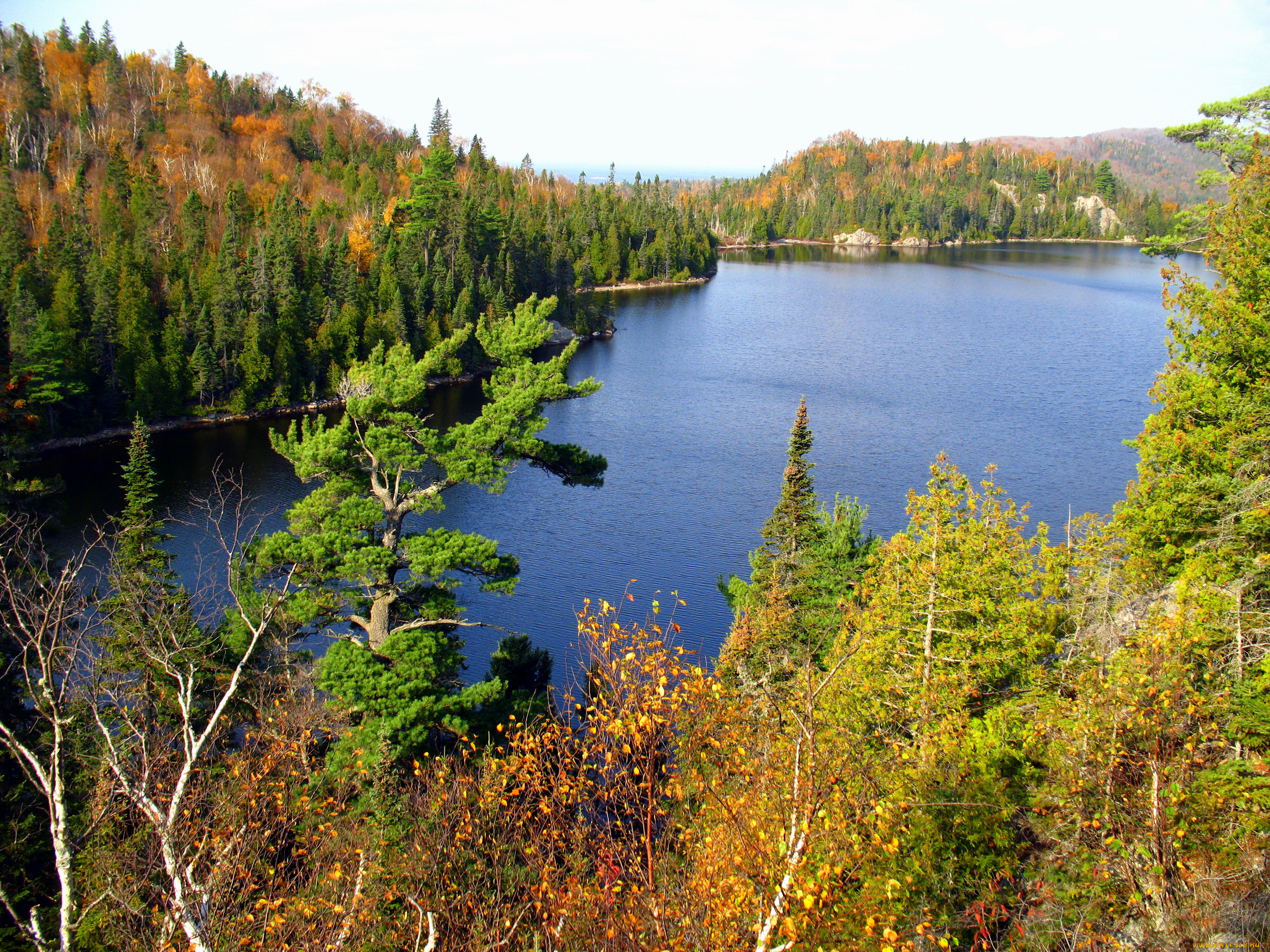 , , , rphan, lake, ontario